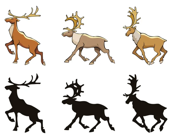 Reindeer — Stock Vector