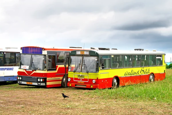 Vintage buses