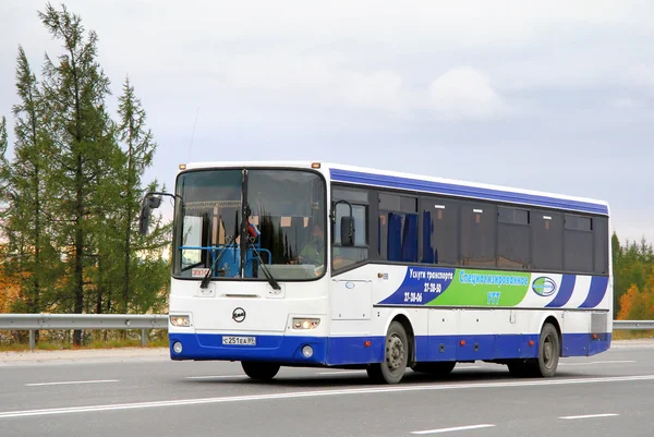 NOVYY URENGOY, RUSSIA - AUGUST 31, 2012: White and blue GOLAZ-LIAZ 5256 interurban coach at the city street.
