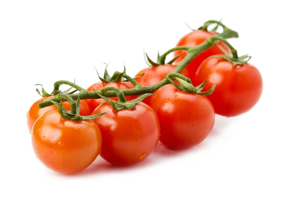 Red tomatoes — Stock Photo, Image