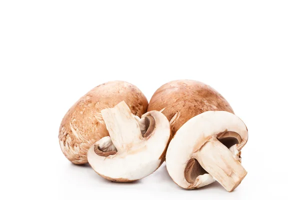 Mushroom on white — Stock Photo, Image