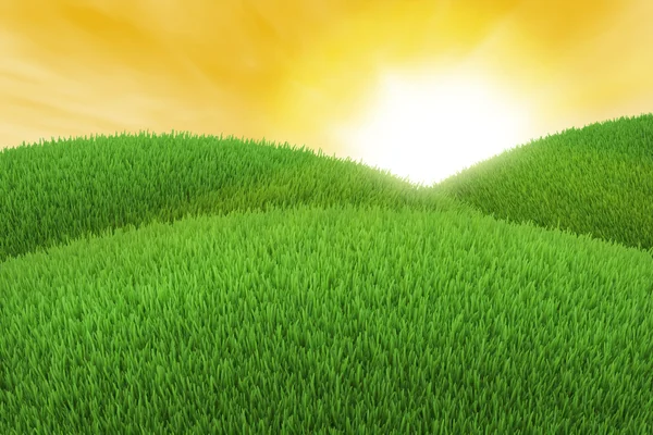 Green hill of grass at sunset — Stock Photo, Image