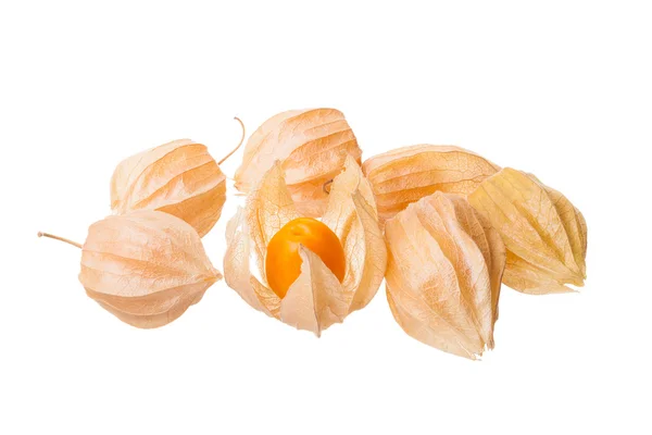 Physalis — Stockfoto