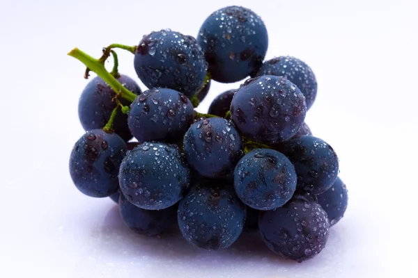 Clúster de uva — Foto de Stock