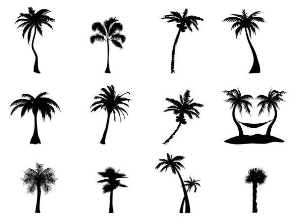 Palmboomsilhouet — Stockvector