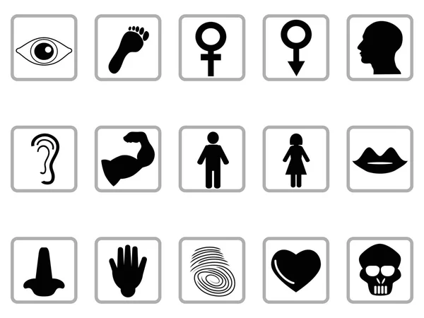 Human feature icons — Stock Vector