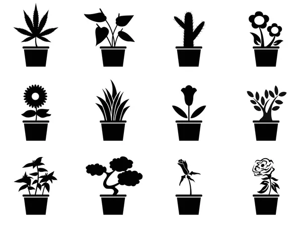 Pot plants icons set — Stock Vector