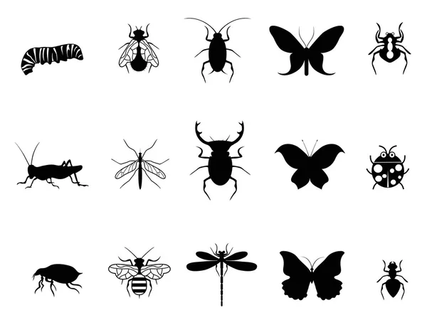 Insects icon set — Stock Vector