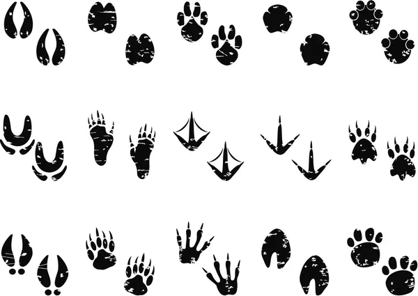 Footprint Track icon — Stock Vector