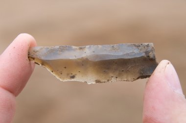 Neolitik flint aracı