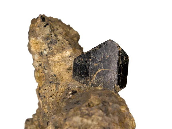 Чёрный аугитовый кристалл на матрице — стоковое фото