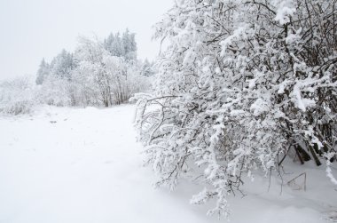 kırsal kış manzara