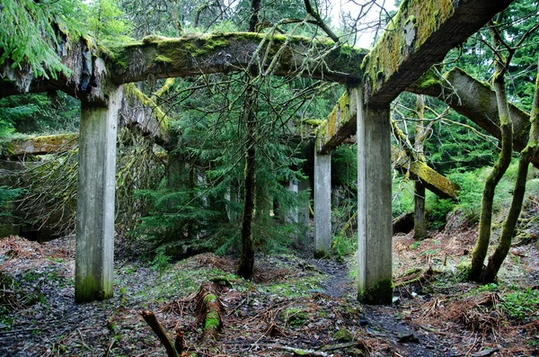 La ruina abandonada de la vieja fábrica —  Fotos de Stock