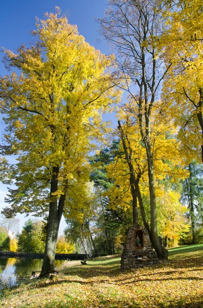 Autumnal park with bright colored trees — Stock Photo, Image