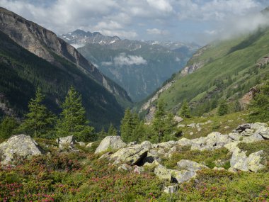 Heiligenblut 'un üzerindeki Alp tepeleri ve Fleisstal vadisi, Hohe Tauern Ulusal Parkı, Avusturya 