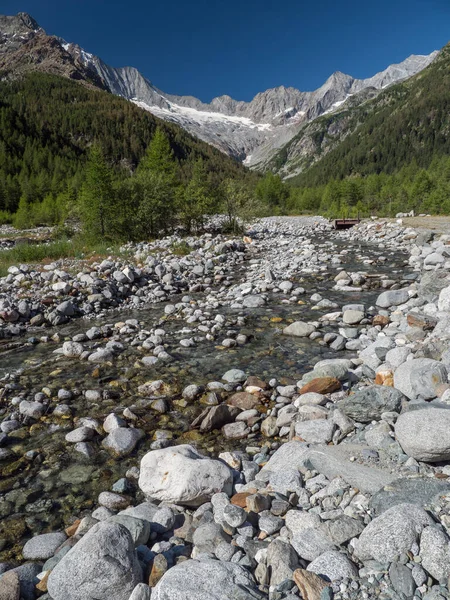 Verano Valle Alpino Val Sissone Con Río Montañas Los Alpes — Foto de Stock