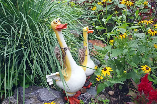 Statue Canard Dans Jardin — Photo