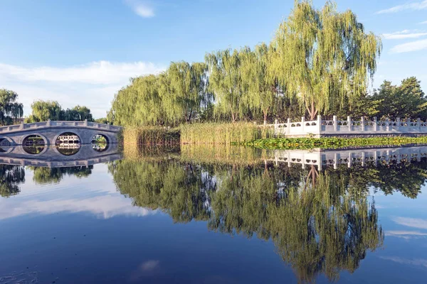 Jardin Chinois Avec Pavillon Pont — Photo