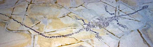 Antik Yaratığın Paleontolojik Fosilleri — Stok fotoğraf