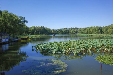 Eski yazlık sarayda göl ve park 