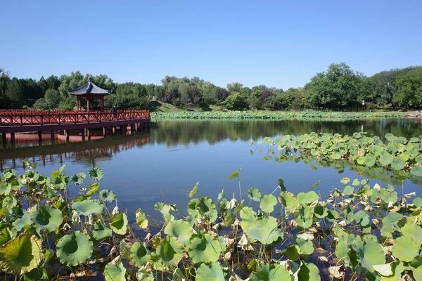 有船的夏宫花园 — 图库照片