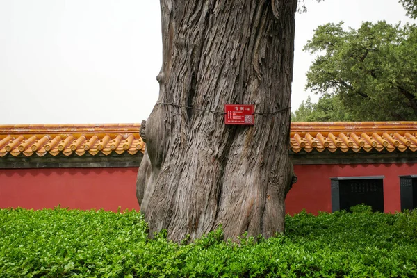 Red Wall Glazed Tile Chinese Building — Stock Photo, Image