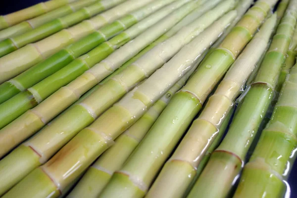 Yiyecek olarak taze bambu filizleri.