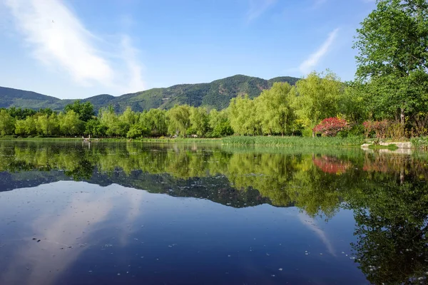 Gölde ayna yansıması olan yeşil ağaç