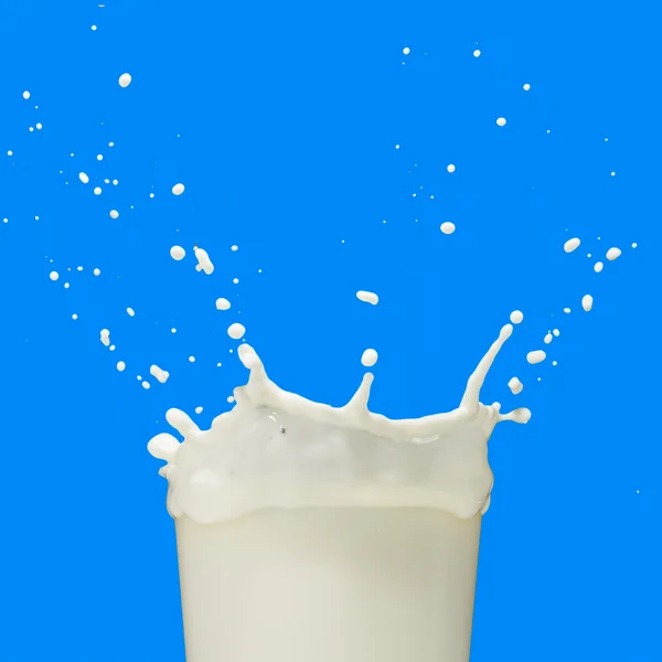 Salpicadura de leche — Foto de Stock