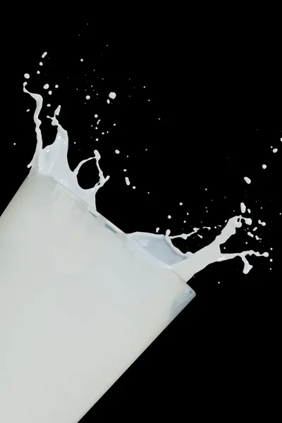 Milk splash — Stock Photo, Image