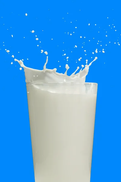 Salpicadura de leche — Foto de Stock