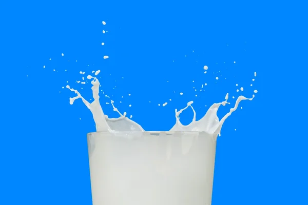 Salpicadura de leche — Foto de Stock