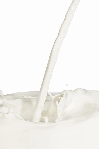 Melk fra plash – stockfoto