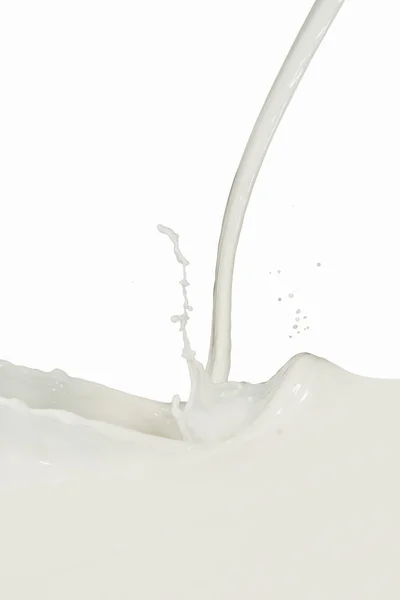 Salpicadura de leche —  Fotos de Stock