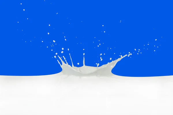 Milk splash — Stock Photo, Image