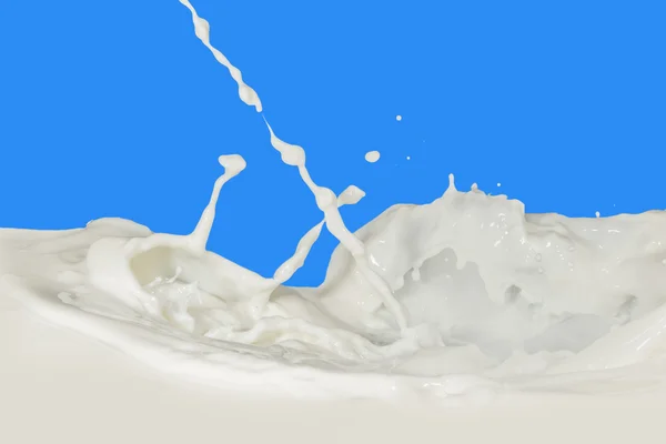 Milk splash — Stock Photo, Image