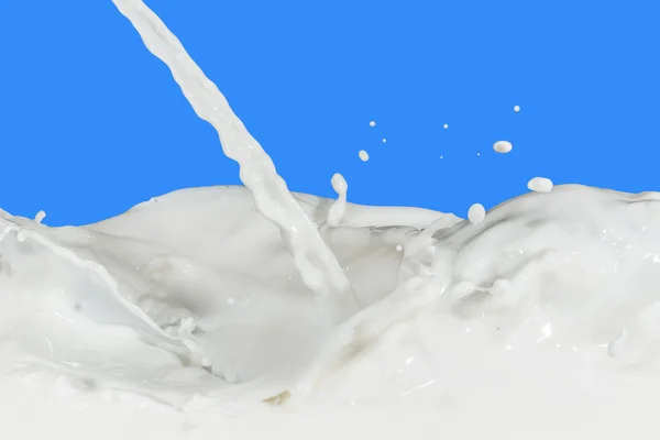 Milk splash — Stock Photo, Image