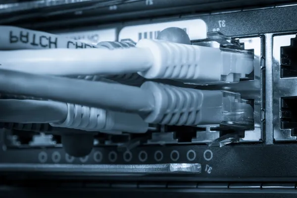 Kabel hub dan patch jaringan — Stok Foto
