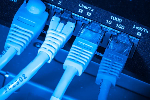 Núcleo de red y cables de conexión —  Fotos de Stock