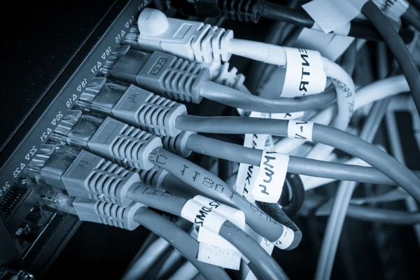 Netwerk hub en patch kabels — Stockfoto