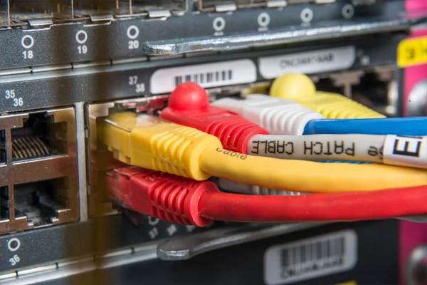 Netzwerk-Hub und Patchkabel — Stockfoto