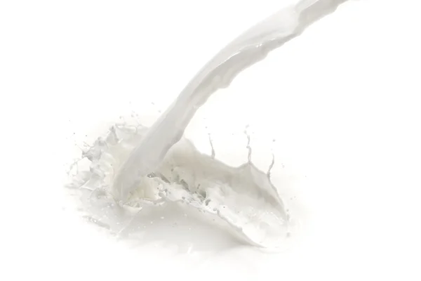 Milk splash — Stock Photo, Image