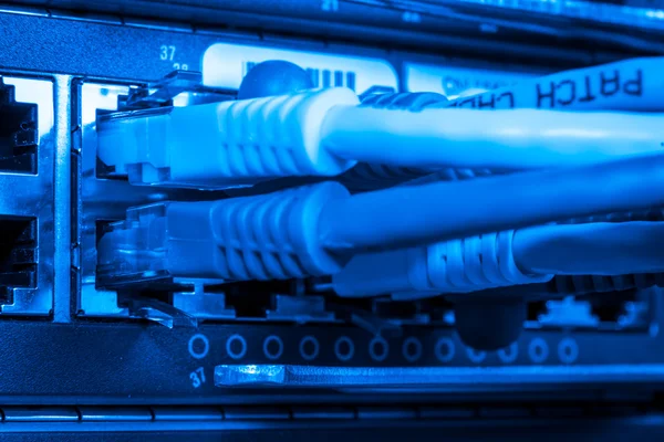 Netwerk hub en patch kabels — Stockfoto