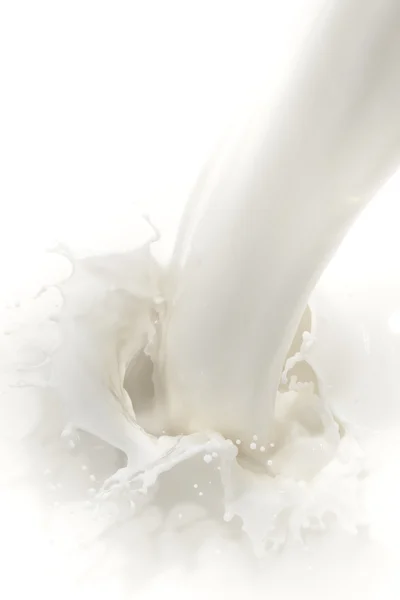 Milk splash — Stock Photo, Image