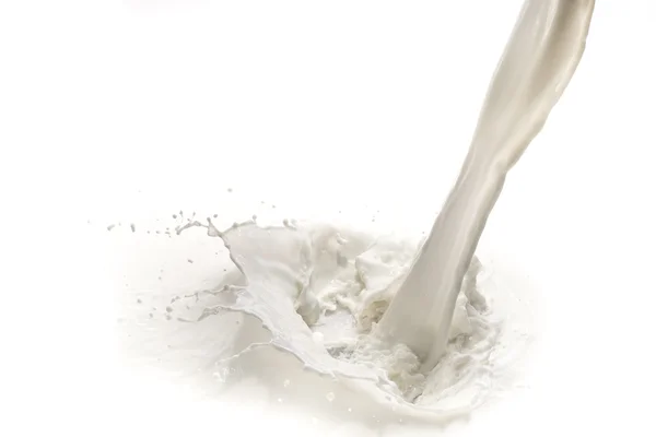 Milk splash — Stock Photo, Image