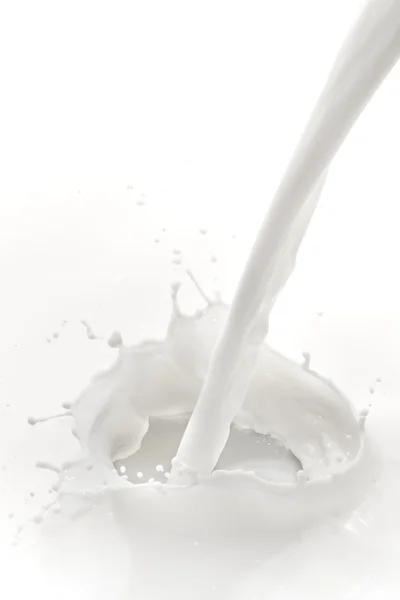 Milk splash — Stock Photo, Image