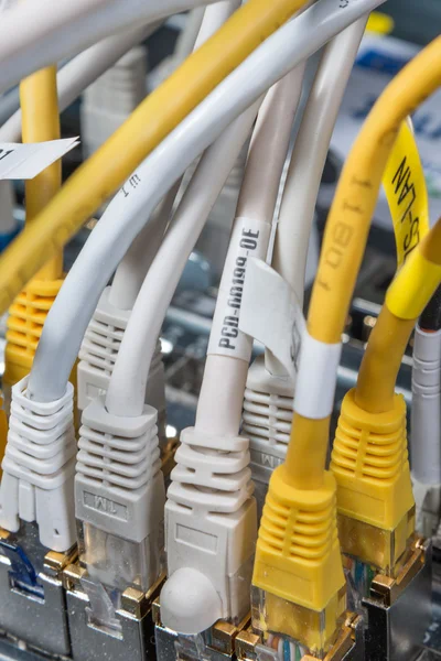 Núcleo de red y cables de conexión —  Fotos de Stock