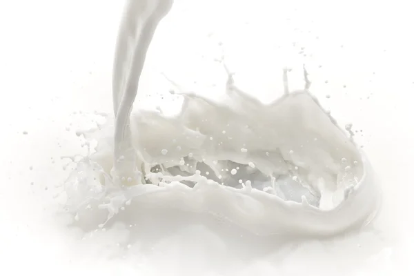 Milk splash — Stock Photo, Image