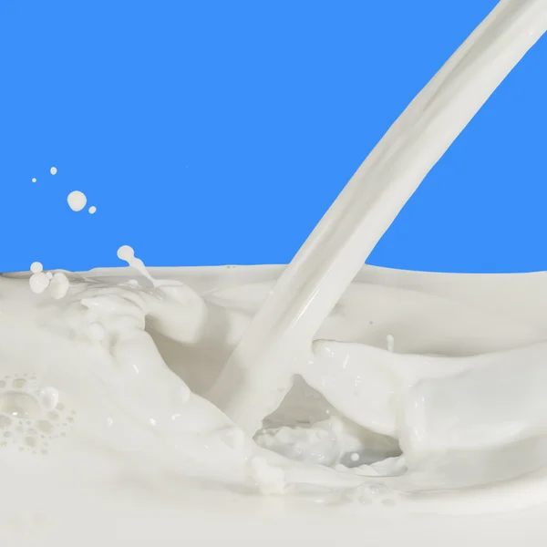 Milk splash — Stock Photo, Image