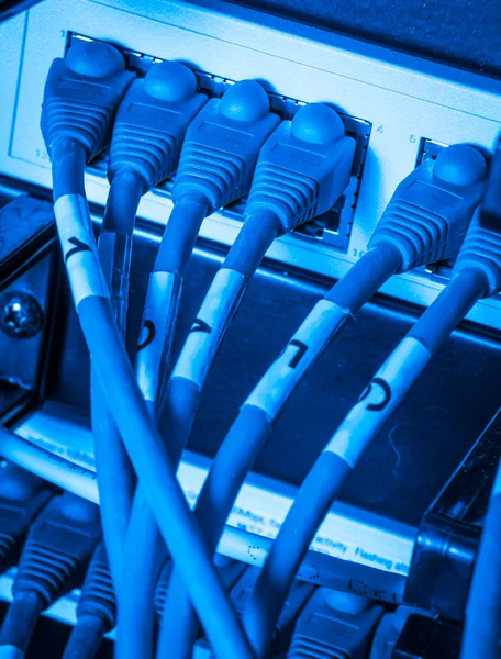 Netzwerk-Hub und Patchkabel — Stockfoto